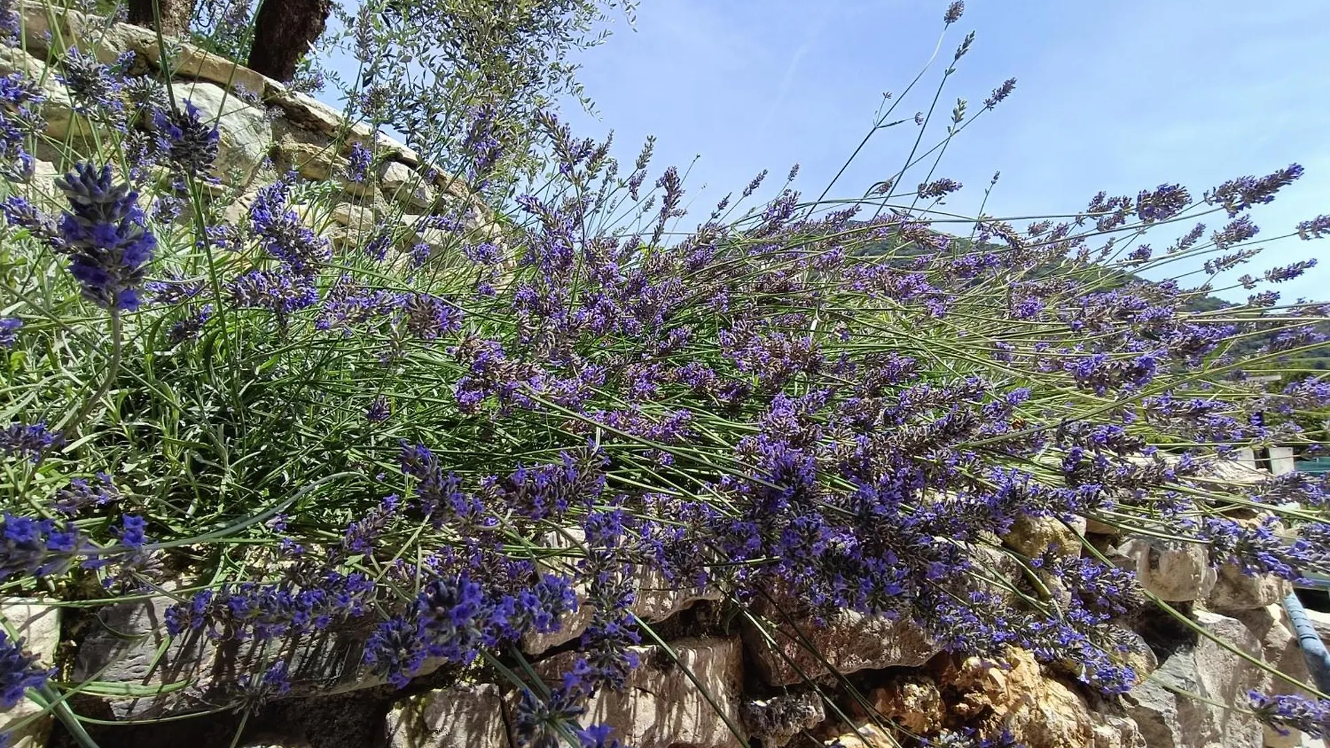 Farm stay Agriturismo Cascina Lert Villa Marone Italy